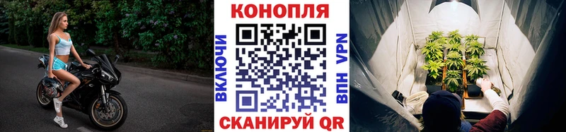 Наркошоп купить ГАШИШ  Cocaine  Мефедрон  Новозыбков