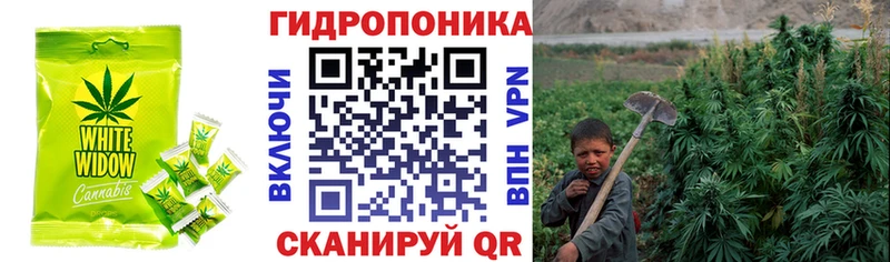 Купить закладки  Новозыбков  Canna-Cookies марихуана 