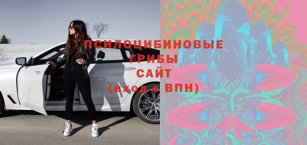 МДПВ Сосновоборск